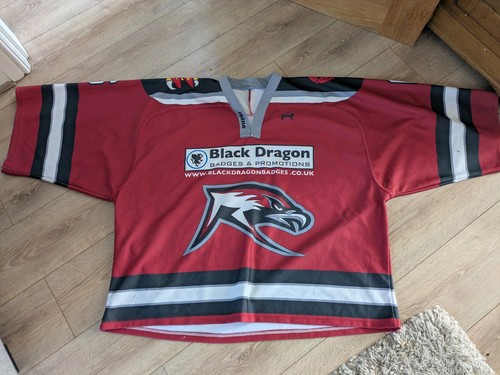 Lancashire raptors ice hockey - raptors,