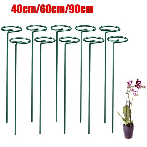 100x plant support - plant,