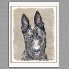 6 Dutch Shepherd Dog Blank Art