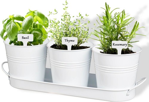 Vensovo indoor herb planter - vensovo,