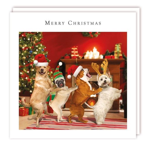 Charity christmas cards - christmas,
