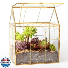 Glass Geometric Plant