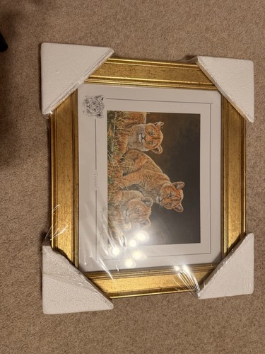 Stephen gayford wildlife art - wildlife,
