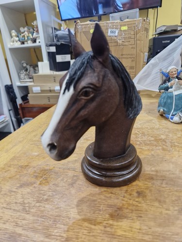 Horse bust head the - head,