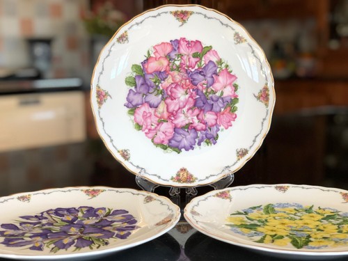 Royal albert collectors - albert, plates