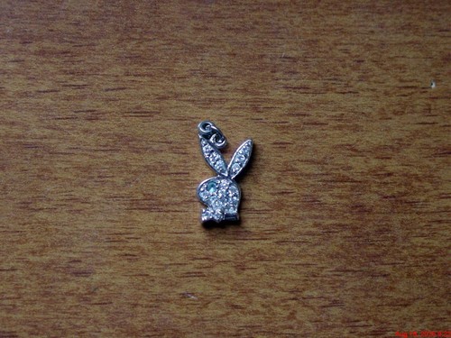 Playboy bunny braclet necklace - playboy, braclet/necklace