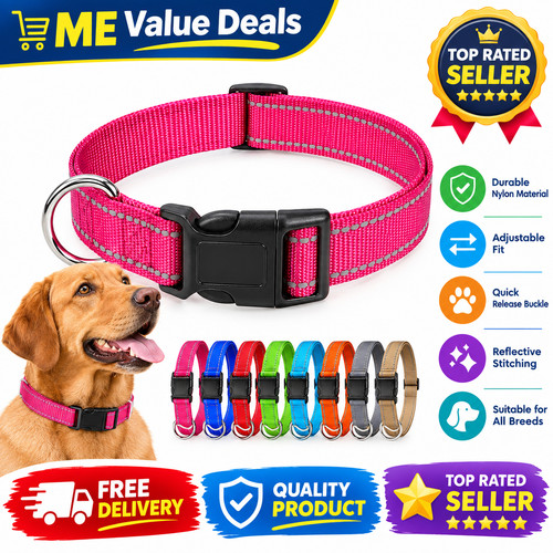 Dog collar puppy - collar, nylon