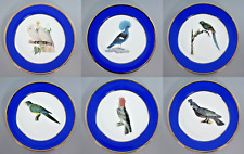 RARE UP IN ARMS CHINA PARROT BIRDS DECORATIVE PLATES set of 6 IN BOX 18cm