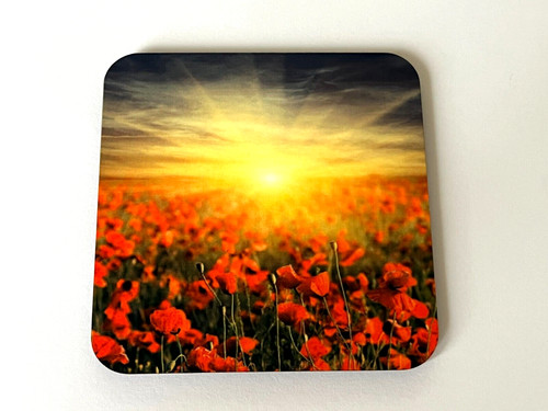 Field poppies drinks - of,