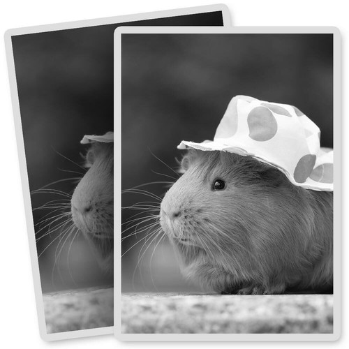 Vinyl stickers 7x10cm bw - x,