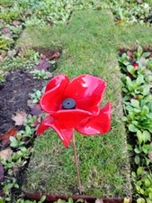 Tower of London Ceramic Poppy by Paul Cummins With Wall Mounted Display