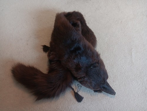 Vintage real fox fur - vintage,