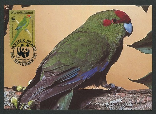 Norfolk island birds - island, mk