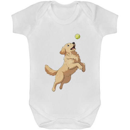 Golden retriever ball baby - retriever,
