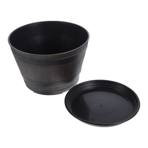 Extra large indoor plant - plant, pots