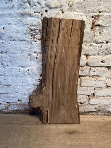 Waney edge live oak - edge,
