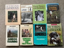 Gundog training and Sporting