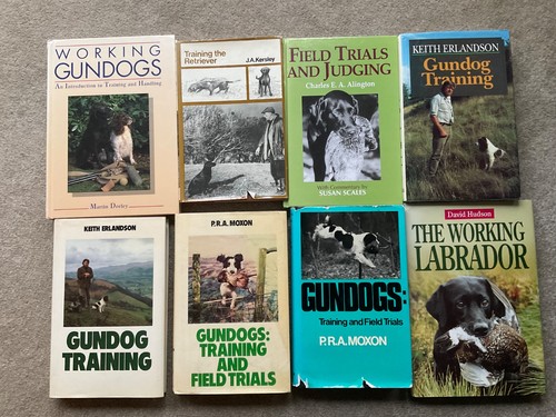 Gundog training and - , sporting