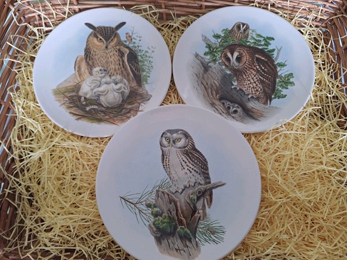 Poole pottery owl - pottery, plates