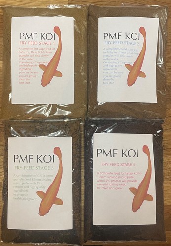Pmf koi fry - pmf, goldfish