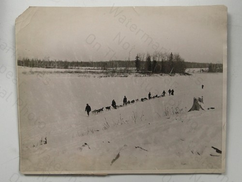 People dog sled - sled, snowy
