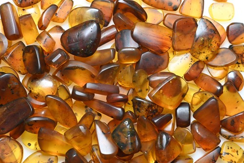Lot amber preforms - lot,