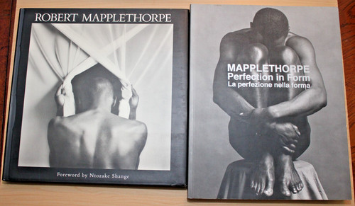 Robert mapplethorpe perfection - mapplethorpe,