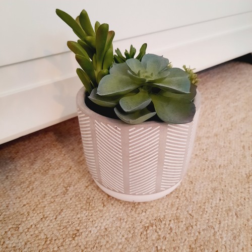 Faux artificial succulent - artificial,