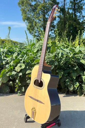 Video solid spruce arch - [video],