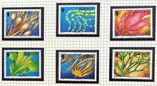 Jersey 2009 Marine Life Seaweed Unmounted mint set.