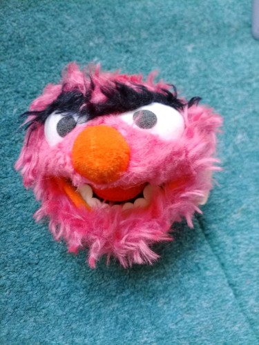 Animal muppet head jim henson - muppet,