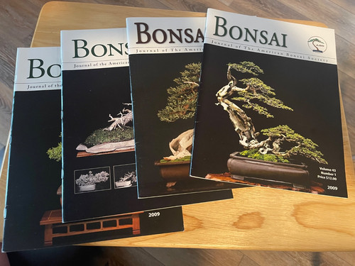 Rare find bonsai - rare,