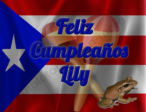 Puerto rico flag personalized - flag,