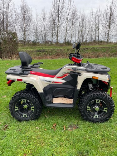 New 300 quad - 300, cc