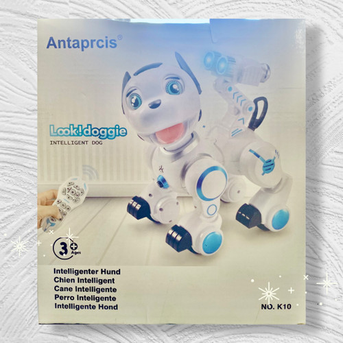 Antaprcis remote control robot - antaprcis,