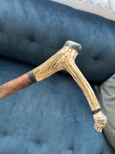 Antler horn walking stick - horn,