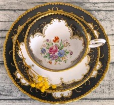 Rare Vintage Plant Tuscan