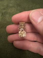 Squirrel Sternum Bones