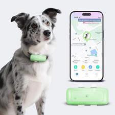 Dog Tracker Pet GPS Tracker