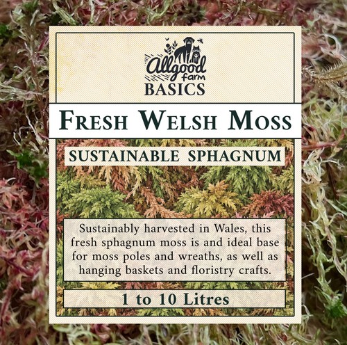 Fresh welsh sphagnum moss 3l - |,