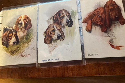 Dog postcard blood - x, 3,