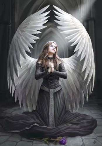 Anne stokes prayer for - stokes,