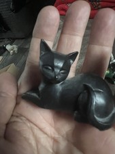 Little black Cat