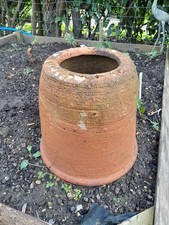 Vintage rhubarb kale forcer - vintage,