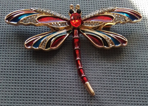 Vintage style dragonfly broch