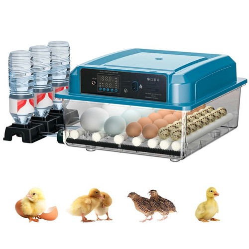 Eggs digital automatic - 36,