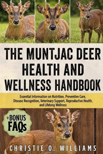 The muntjac deer health and - deer,