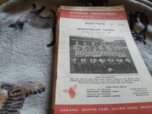 Brentford shrewsbury town - v,
