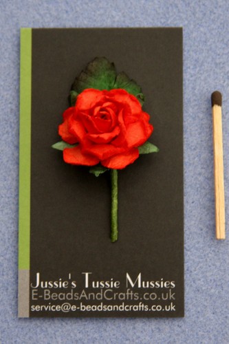 Single large rose tussie - 1,