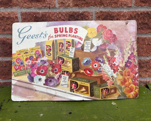 Vintage geest bulbs for - geest’s,
